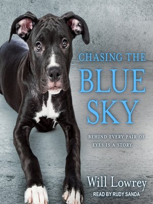 cover image of Chasing the Blue Sky